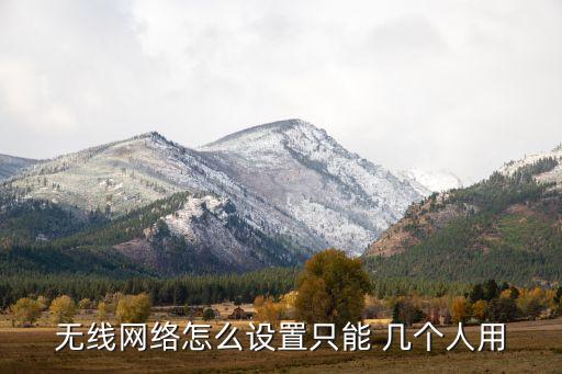 无线网络怎么设置只能 几个人用