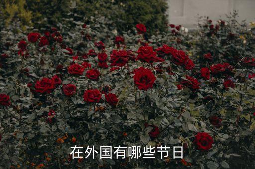 国外旅游节庆活动,旅游节庆活动存在问题