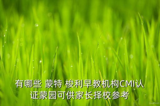 合肥蒙特梭利国际幼儿园,合肥三味蒙特梭利幼儿园