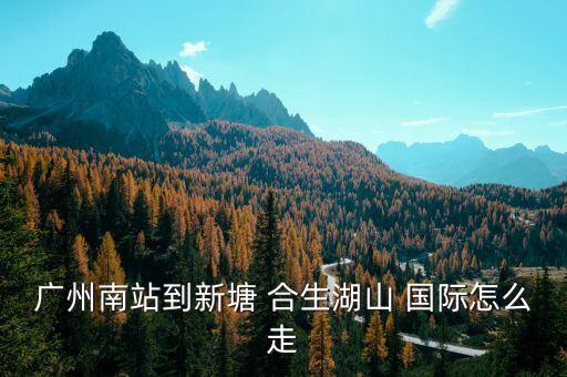 广州南站到新塘 合生湖山 国际怎么走