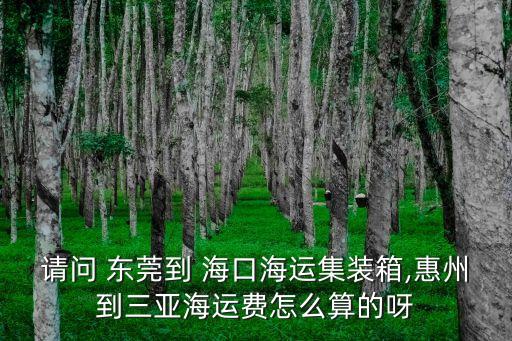 请问 东莞到 海口海运集装箱,惠州到三亚海运费怎么算的呀
