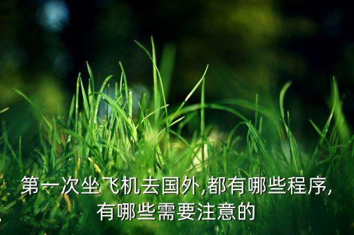 第一次坐飞机去国外,都有哪些程序,有哪些需要注意的