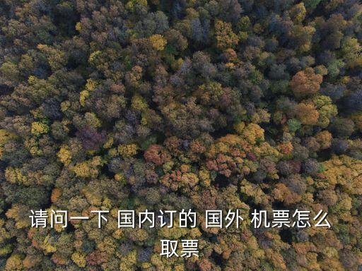 请问一下 国内订的 国外 机票怎么取票
