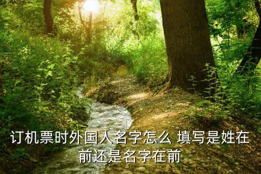 国外飞机上需要填写的,飞机国外