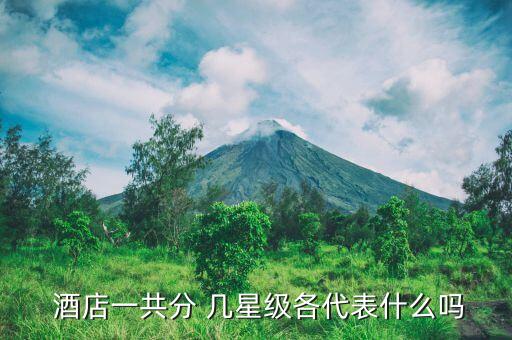  酒店一共分 几星级各代表什么吗
