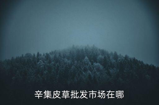 辛集皮草批发市场在哪