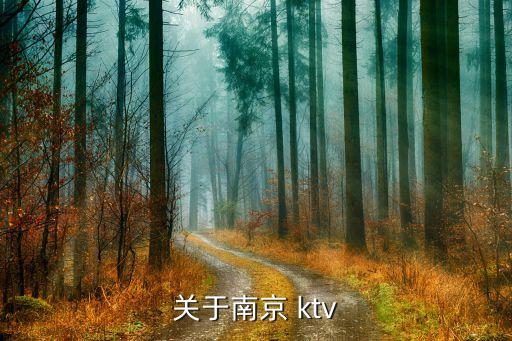 南通市凤凰国际商务ktv评价