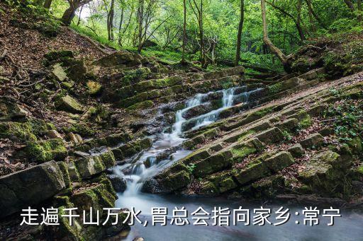 走遍千山万水,胃总会指向家乡:常宁