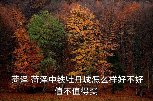 菏泽君临国际