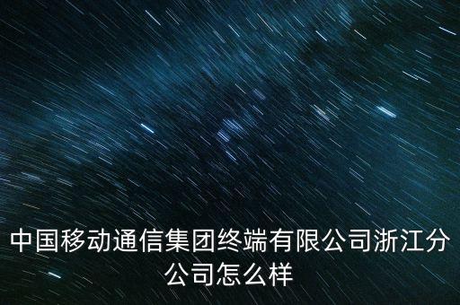 中国移动通信集团终端有限公司浙江分公司怎么样