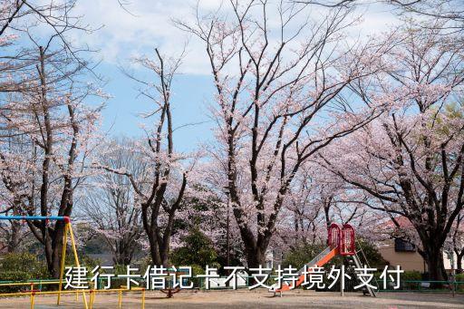  建行卡借记卡不支持境外支付