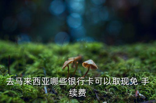 去马来西亚哪些银行卡可以取现免 手续费