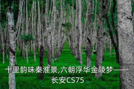 十里韵味秦淮景,六朝浮华金陵梦—— 长安CS75