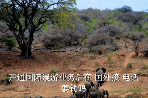 开通国际漫游业务后在 国外接 电话要钱吗