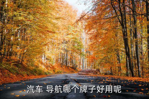 汽车 导航哪个牌子好用呢