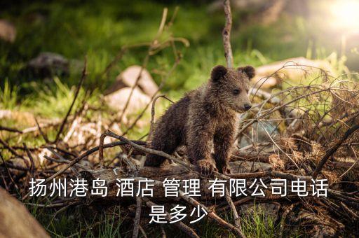 中港湾 国际酒店管理有限公司,国内有哪些国际品牌酒店管理公司?