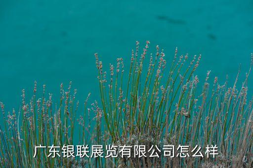 广东银联展览有限公司怎么样