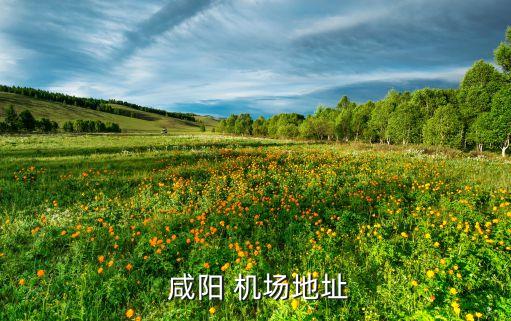  咸阳 机场地址