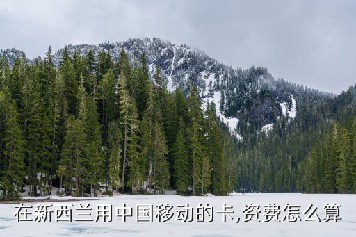 在新西兰用中国移动的卡,资费怎么算