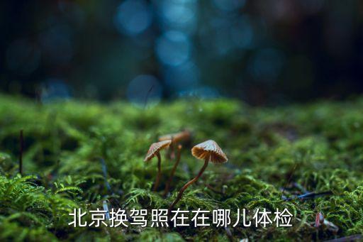 北京换驾照在在哪儿体检
