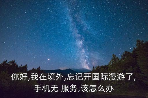 你好,我在境外,忘记开国际漫游了,手机无 服务,该怎么办