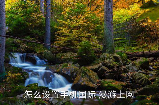 怎么设置手机国际 漫游上网