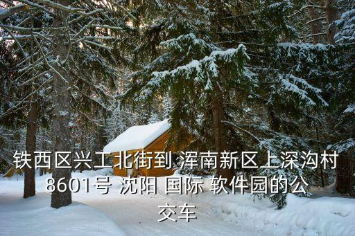沈阳浑南国际软件园