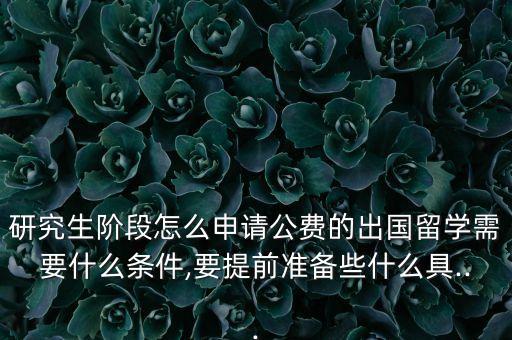 研究生阶段怎么申请公费的出国留学需要什么条件,要提前准备些什么具...