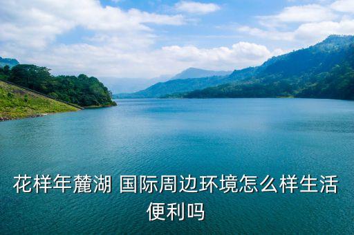 花样年麓湖 国际周边环境怎么样生活便利吗