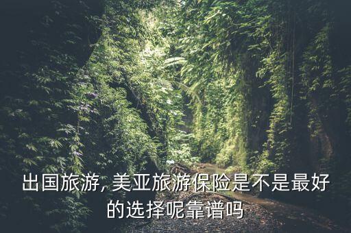 美亚保险国外险,美亚出境游保险