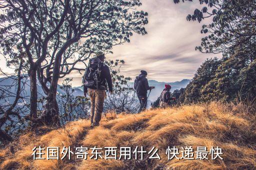 寄欧洲哪个国际快递,济南寄国际快递用哪个公司