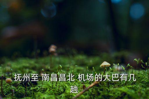  抚州至 南昌昌北 机场的大巴有几趟