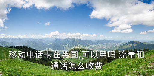 移动电话卡在英国,可以用吗 流量和通话怎么收费