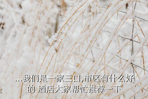 ...我们是一家三口,市区有什么好的 酒店大家帮忙推荐一下