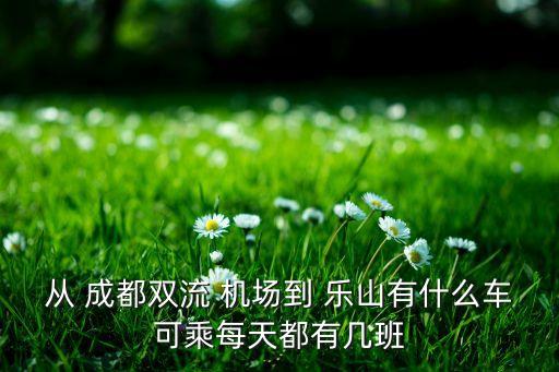 成都国际机场到乐山怎么坐车,成都天府国际机场到乐山多少公里