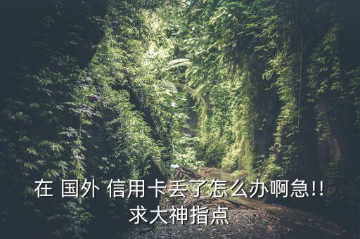 在 国外 信用卡丢了怎么办啊急!!求大神指点