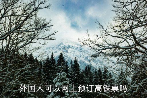外国人可以网上预订高铁票吗
