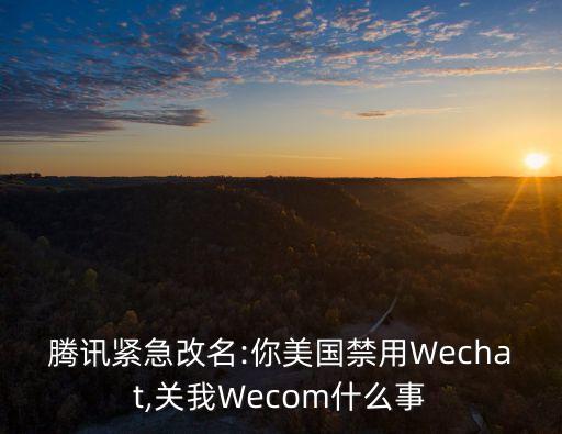 腾讯紧急改名:你美国禁用Wechat,关我Wecom什么事