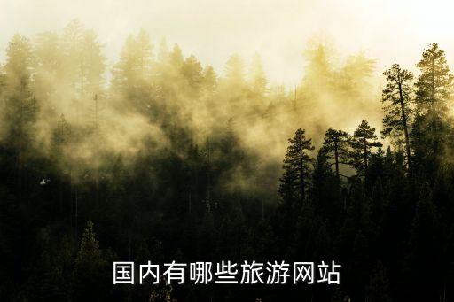 名仕国际酒店预订,携程、乐途等网络平台提供旅游线路预订服务