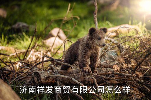 济南祥发商贸有限公司怎么样