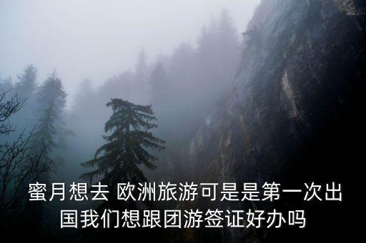 蜜月想去 欧洲旅游可是是第一次出国我们想跟团游签证好办吗
