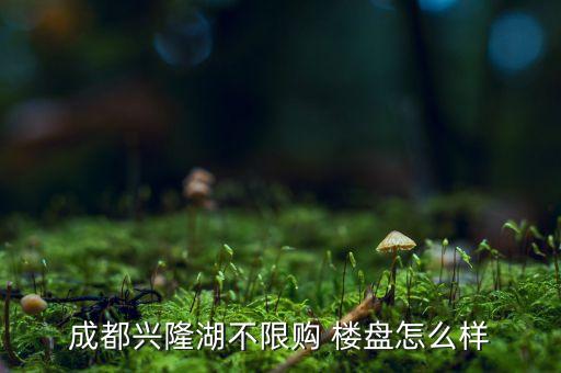国外最新楼盘,北京西城区最新楼盘