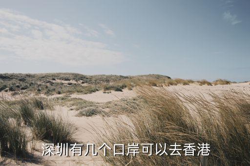  深圳有几个口岸可以去香港