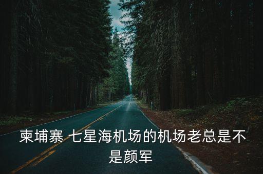  柬埔寨 七星海机场的机场老总是不是颜军