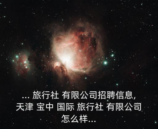 ... 旅行社 有限公司招聘信息,天津 宝中 国际 旅行社 有限公司怎么样...
