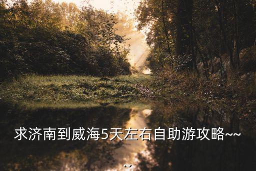 国际海水浴场附近短租公寓