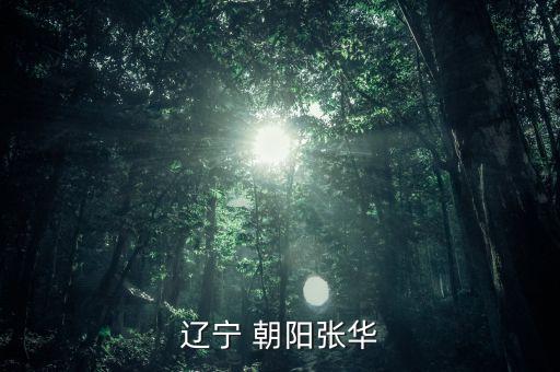 辽宁 朝阳张华