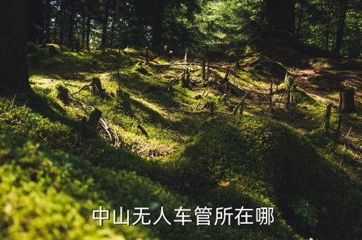 中山大东裕国际中心