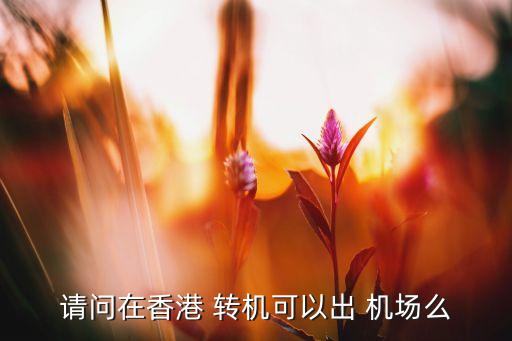 国际转机不出机场,转机需要出机场吗?