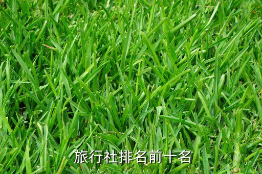  旅行社排名前十名